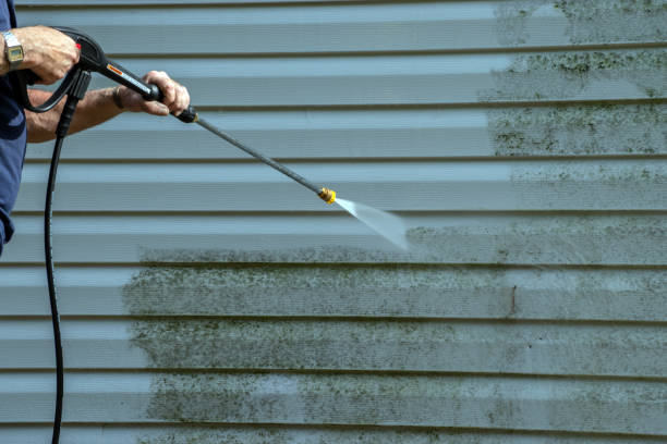 Best Driveway Pressure Washing  in Surf City, NJ